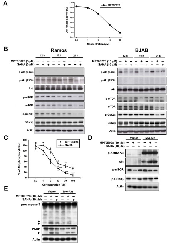 fig3