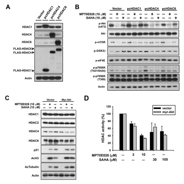 fig4