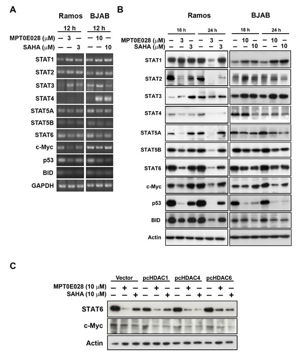 fig5