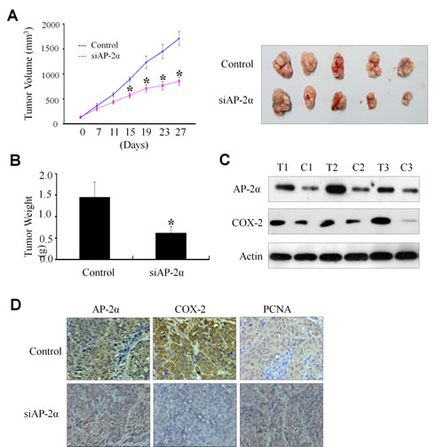 fig4