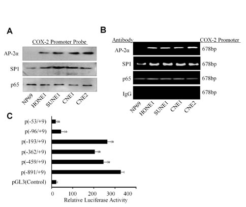 fig5