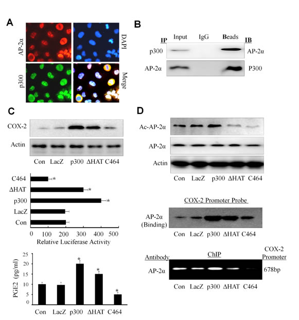 fig6