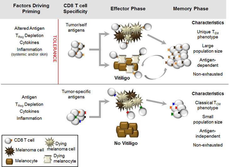 fig3.pdf