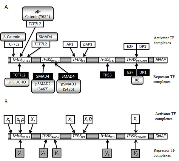 fig2