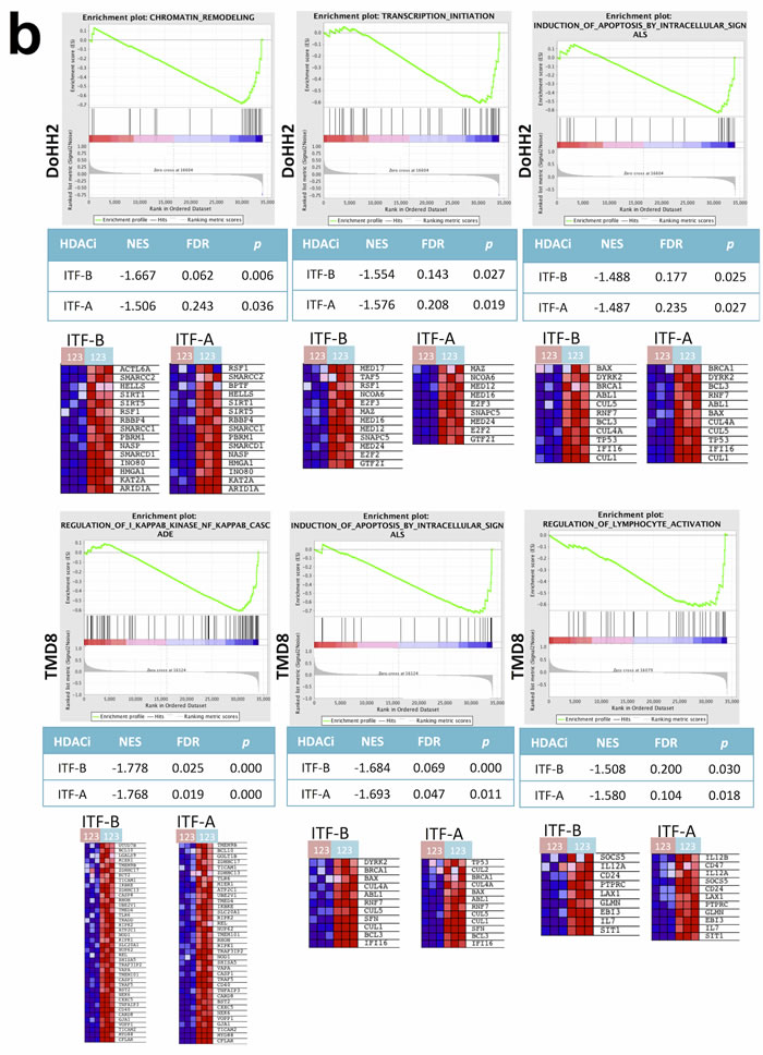 fig2a