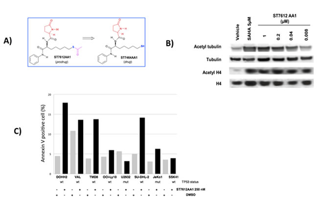 fig1