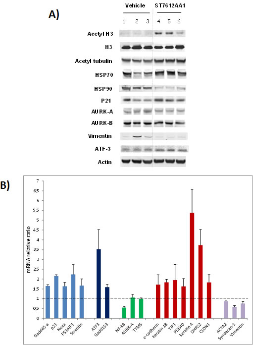 fig3