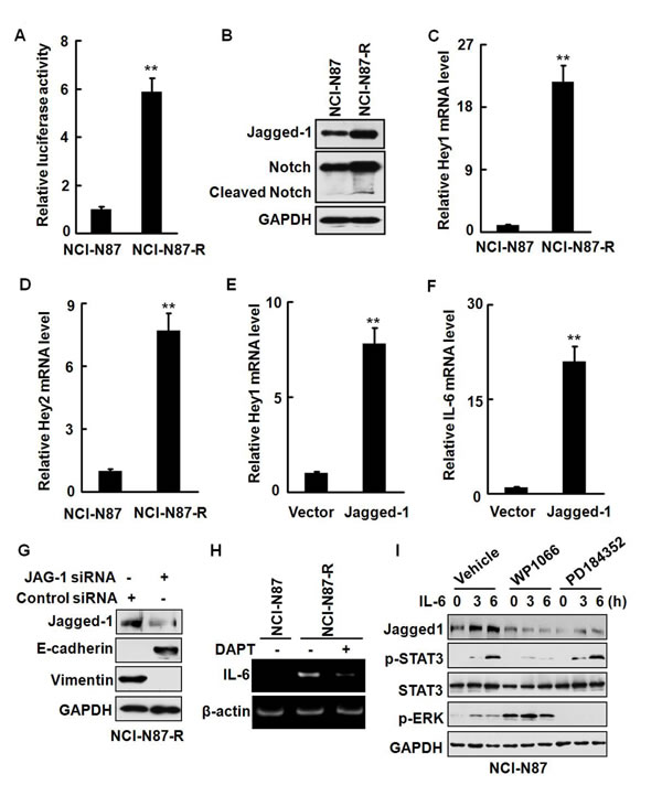 fig6