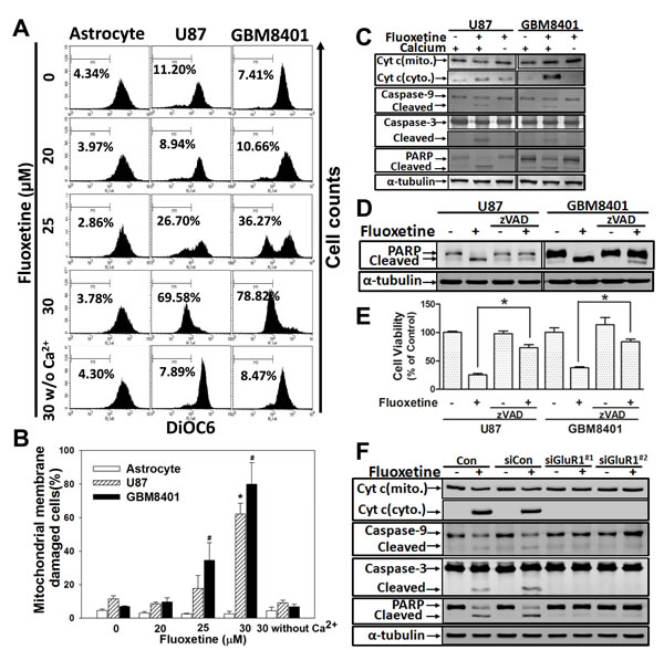 fig4