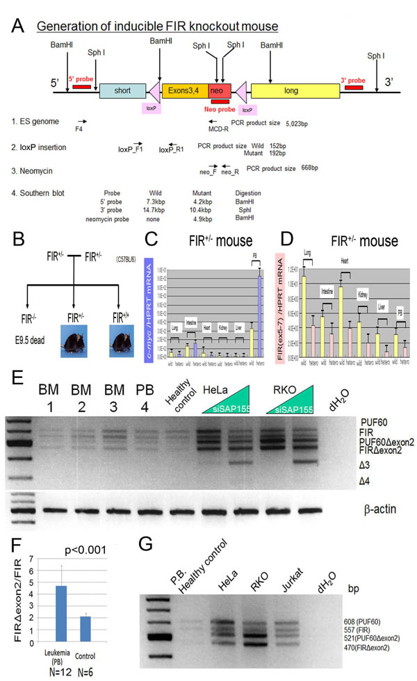 fig1