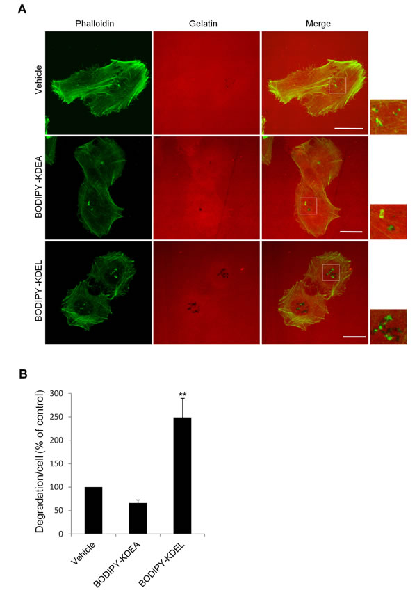 fig2