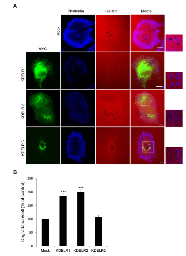 fig3