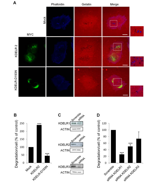 fig4