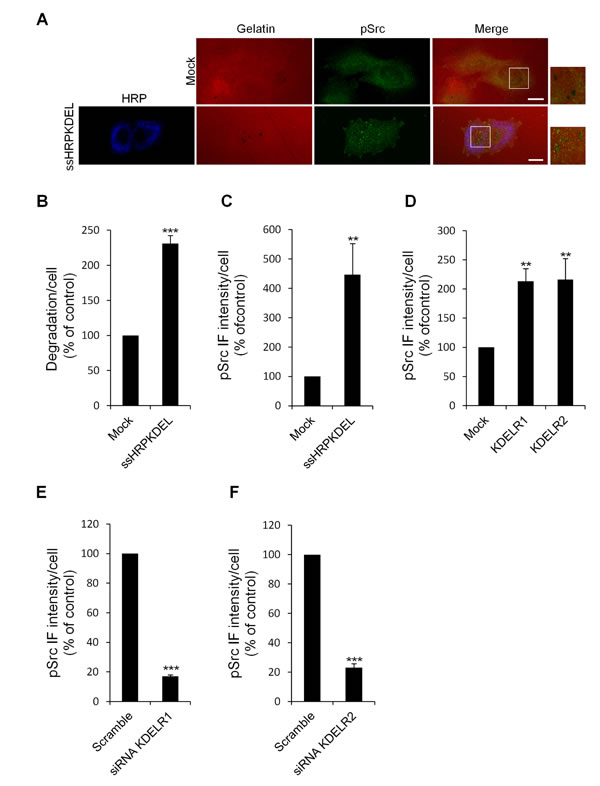 fig6