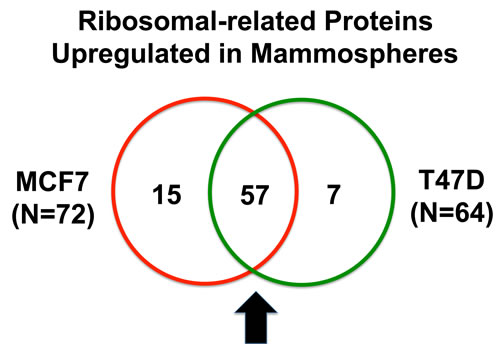 fig1