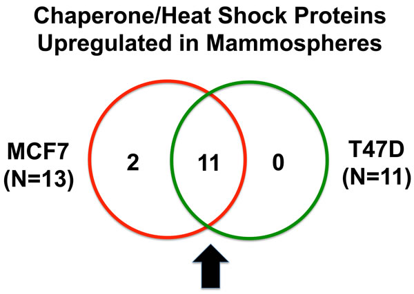 fig2