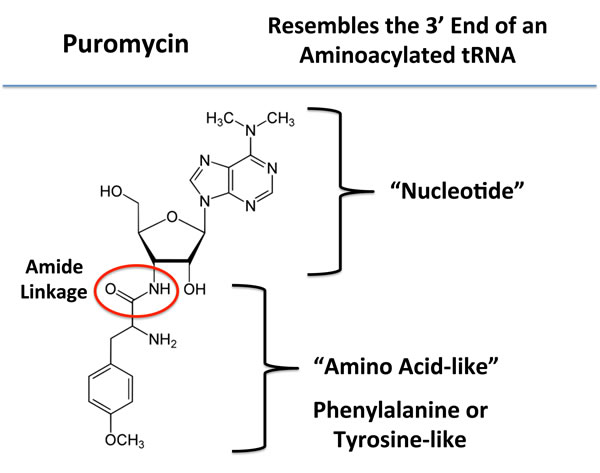 fig3