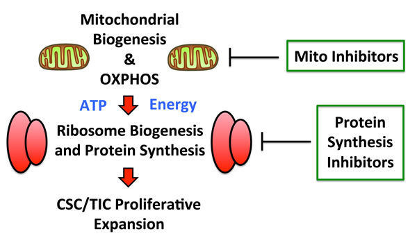 fig10