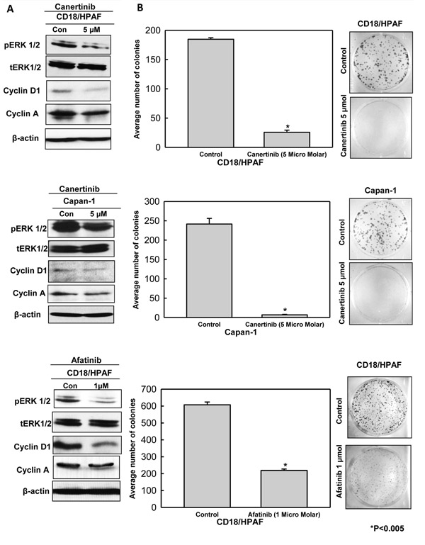 fig3