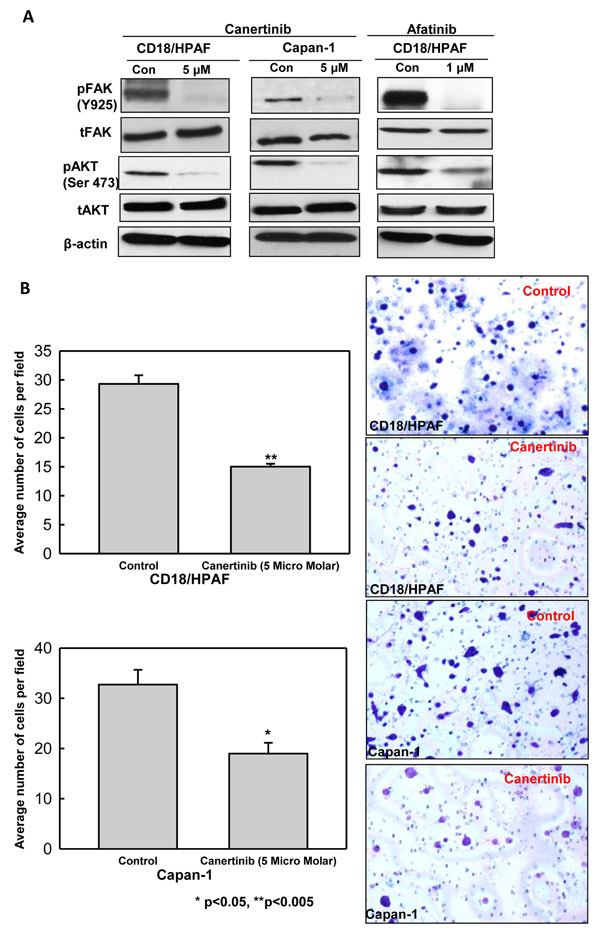 fig4