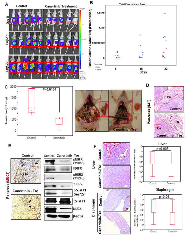 fig6