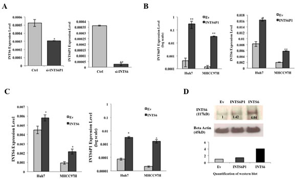 fig4