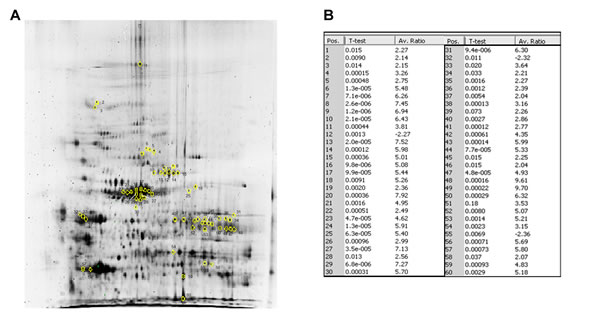 fig1