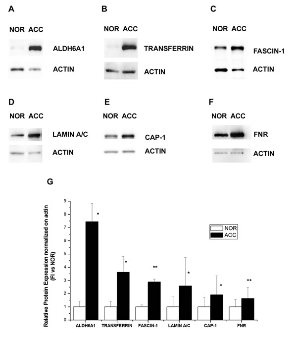 fig4