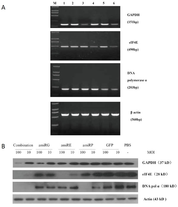 fig3