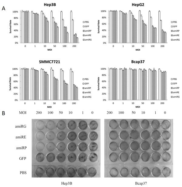 fig6