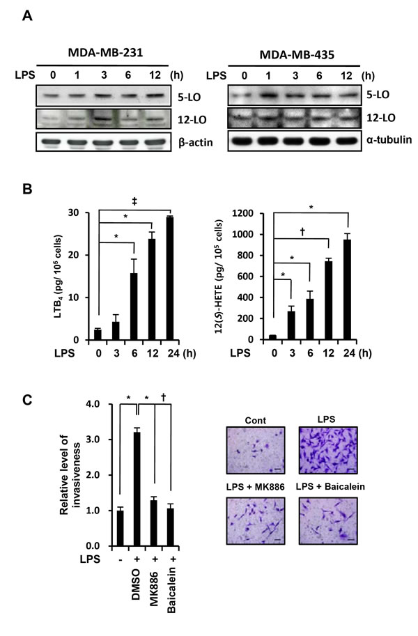 fig3