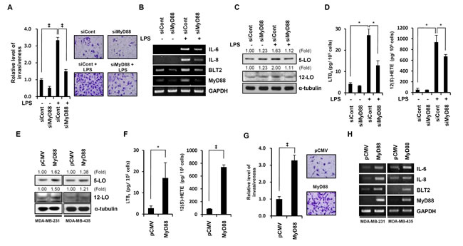 fig4