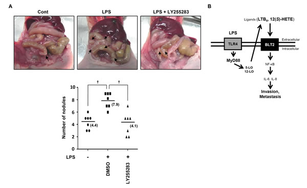 fig6