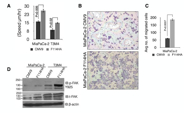 fig6