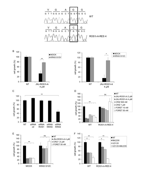 fig2