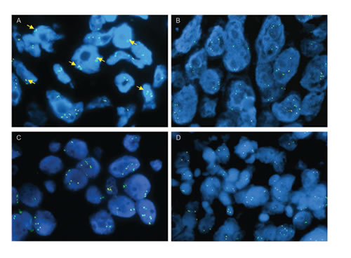 fig6