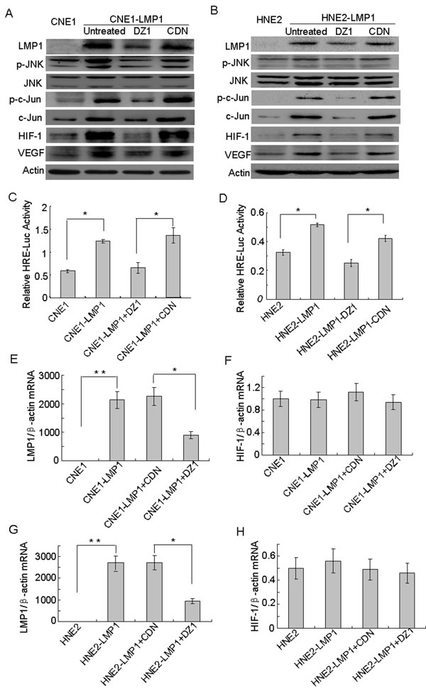 fig3