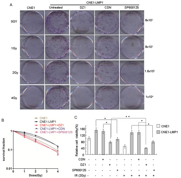 fig6