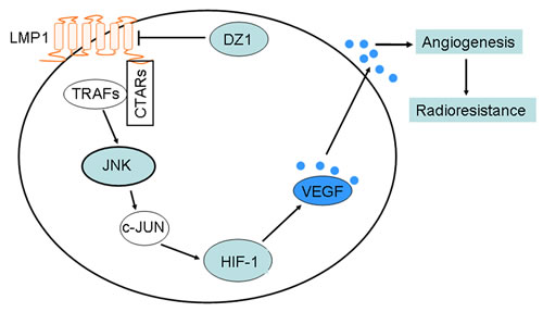 fig7