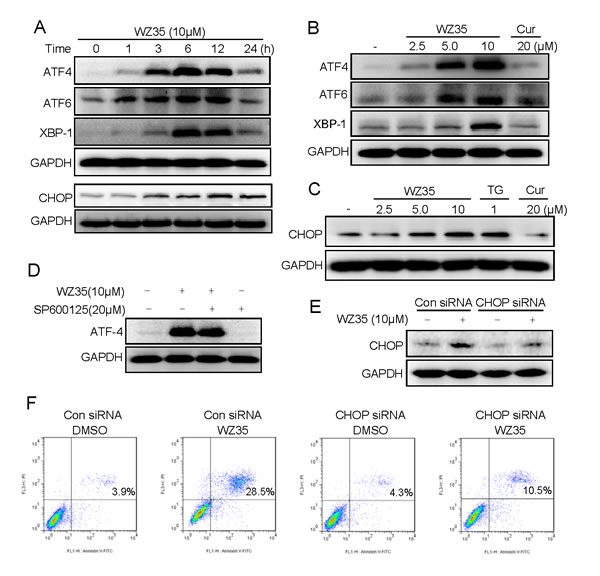 fig6