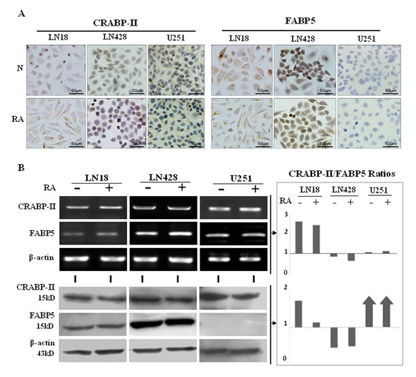 fig3