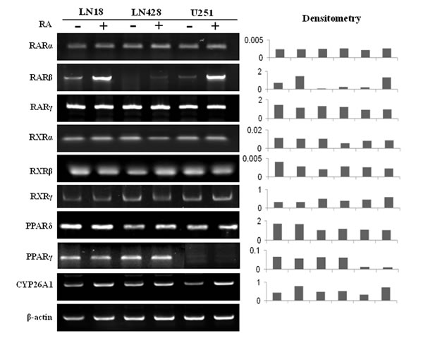 fig4