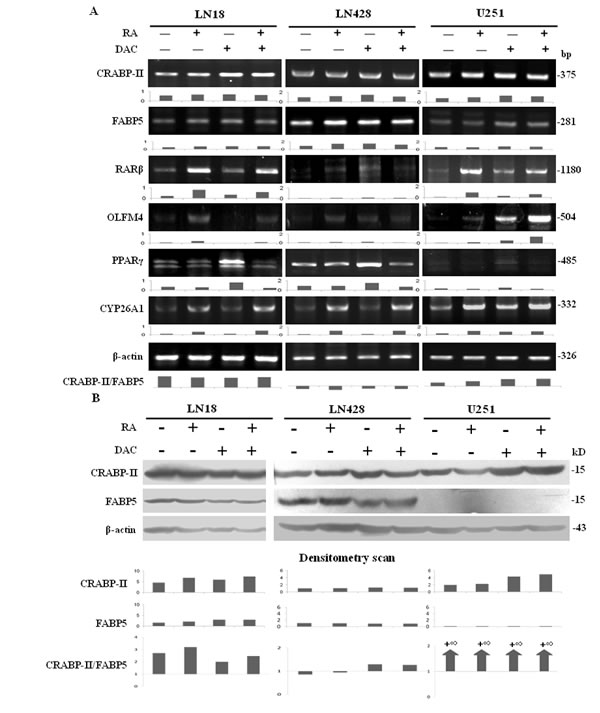 fig6