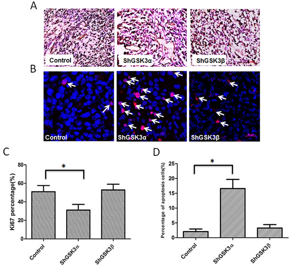 fig3