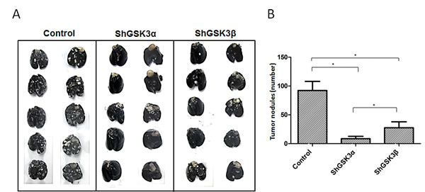 fig5