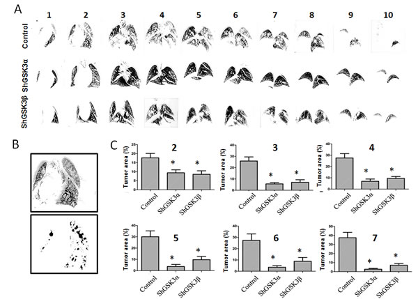 fig6