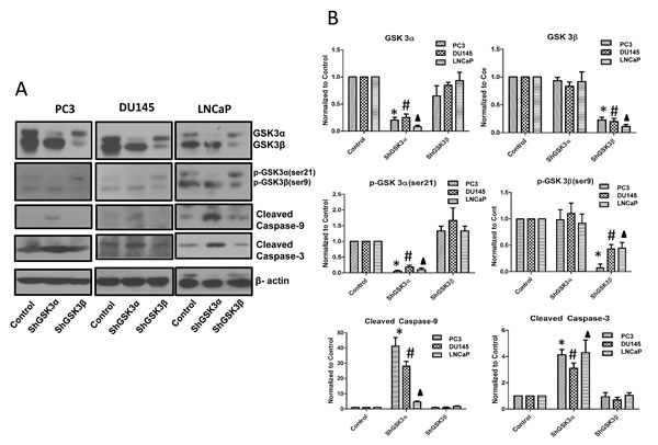 fig7