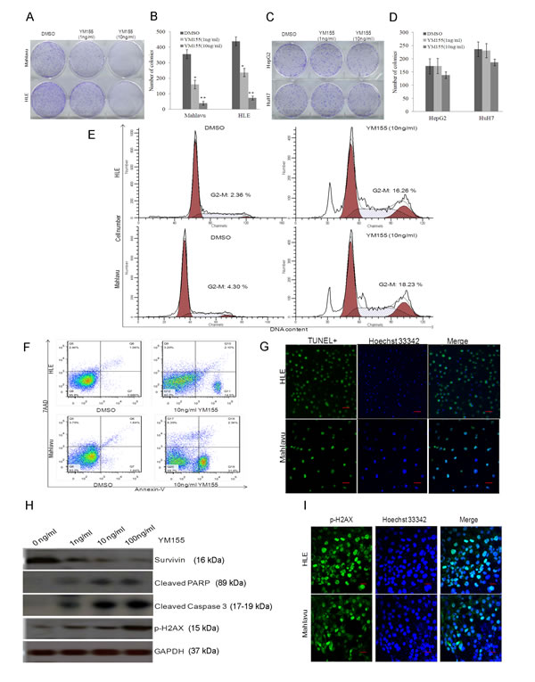 fig4
