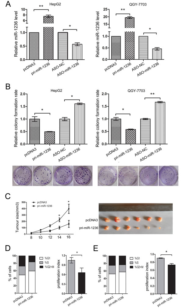 fig2