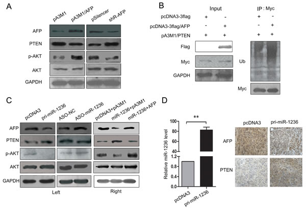 fig6